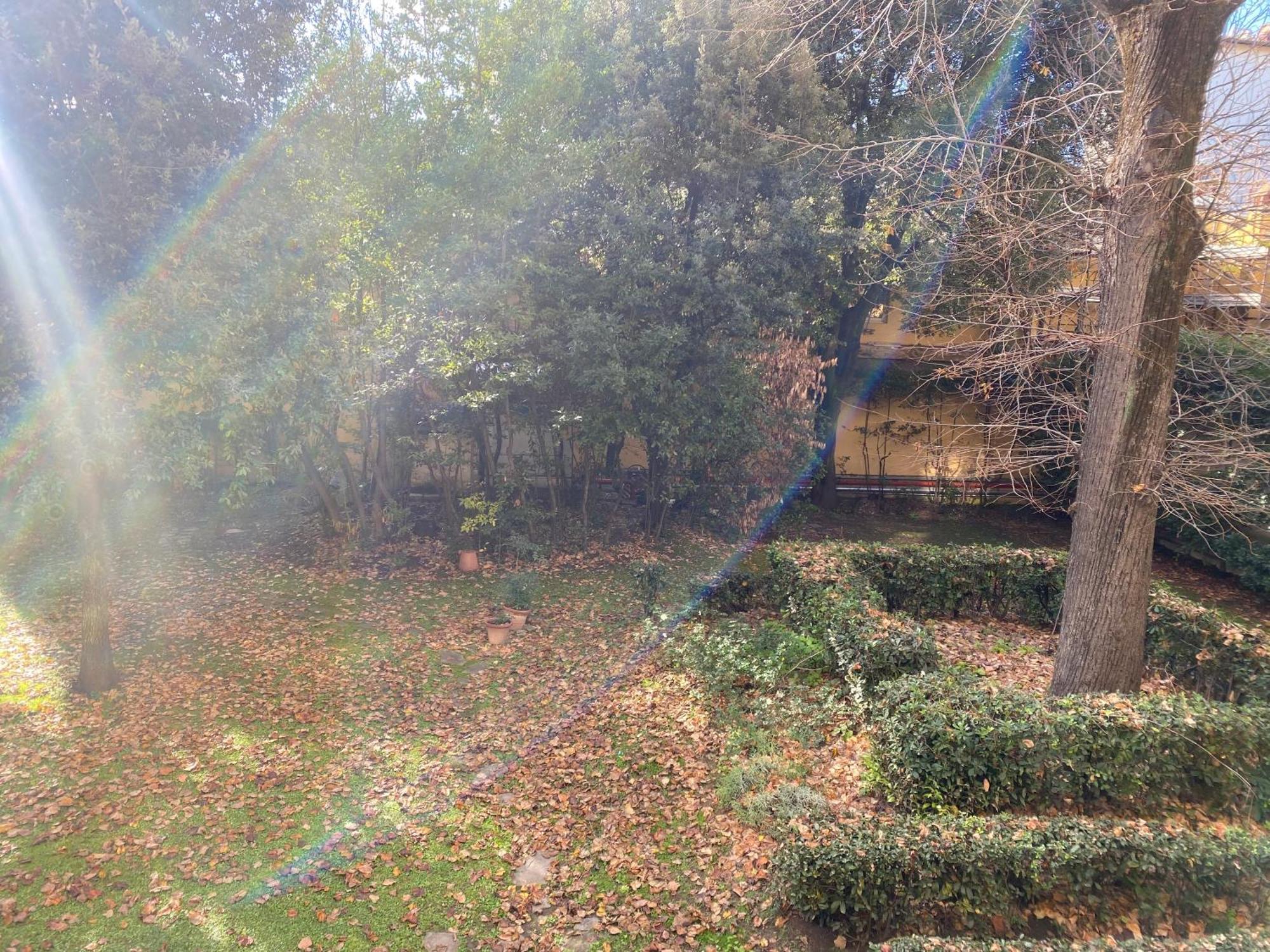 Cozy With Access To Garden Appartement *